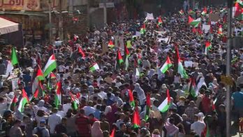 Pro-Gaza rallies sweep the world